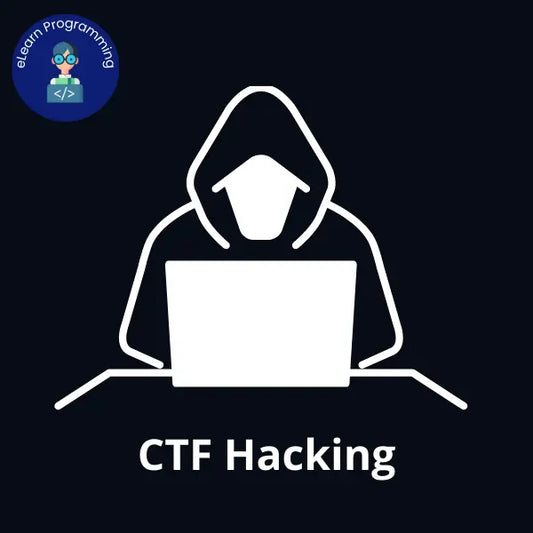 CTF Hacking 2024